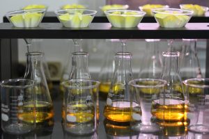 ikova amerta indonesia